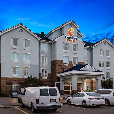 คอมฟอร์ต สวีท Hotel นิวออร์ลีนส์ ภายนอก รูปภาพ